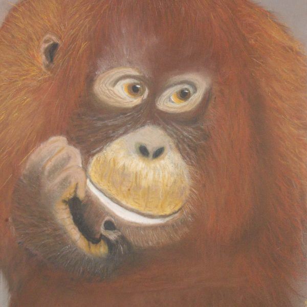 Orangutan drawing painting
