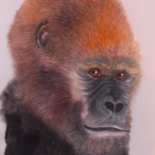 gorilla drawing painting