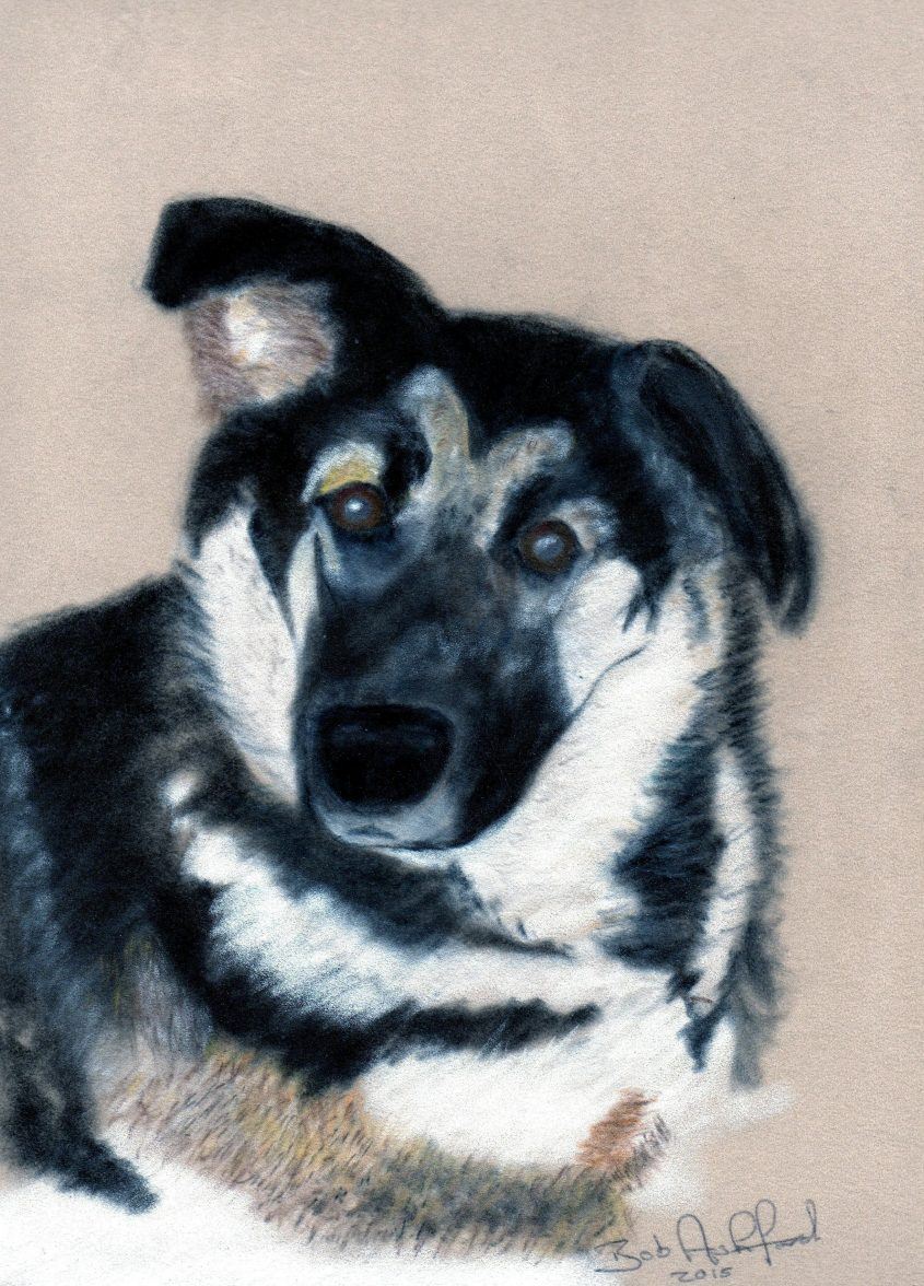 German Shepard Dog Custom Pets Portraits - Conscious Crafties