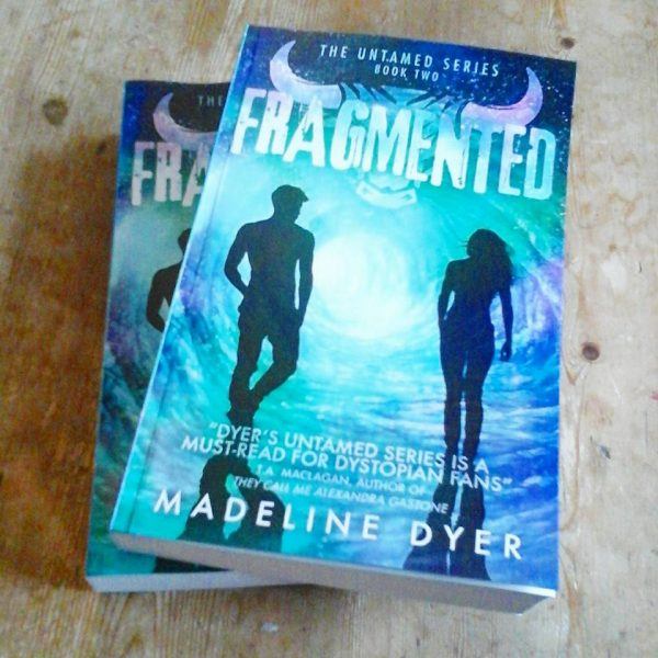Fragmented Book Madeline Dyer