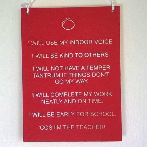 Funny classroom rules gift for teachers - Conscious Crafties